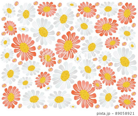 Fresh Red and White Daisy Blossoms Background Fresh Red and White Daisy Blossoms Background 89058921