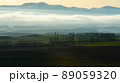 朝霧の丘 89059320