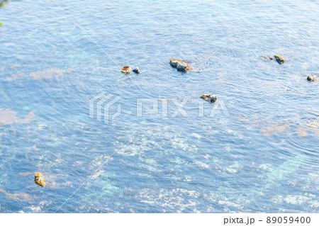 青海島 青海島 89059400