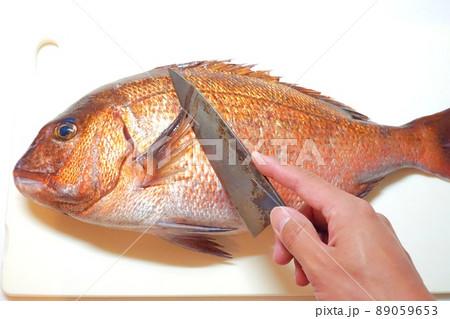 まな板の上の釣りたて新鮮な真鯛 89059653