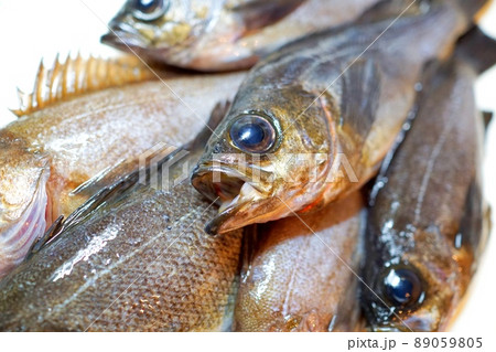 厨房のまな板に並んだ釣りたて新鮮なメバル 89059805