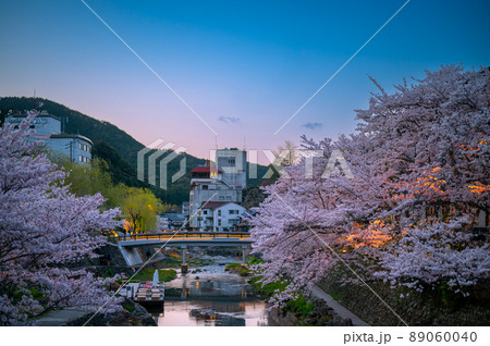 春の宵夜桜の綺麗な長門湯本温泉 89060040