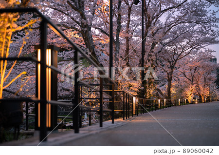 春の宵夜桜の綺麗な長門湯本温泉 89060042