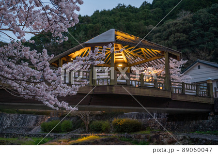 春の宵夜桜の綺麗な長門湯本温泉 春の宵夜桜の綺麗な長門湯本温泉 89060047