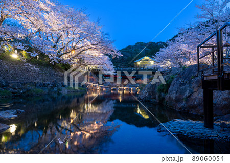 春の宵夜桜の綺麗な長門湯本温泉 春の宵夜桜の綺麗な長門湯本温泉 89060054