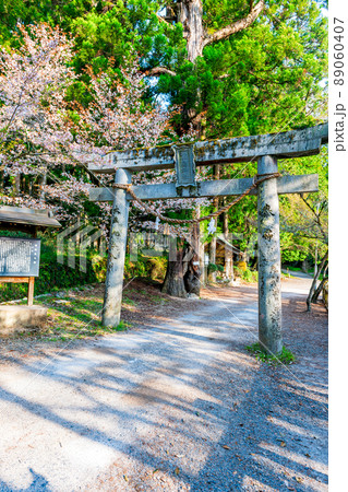別府厳島神社 別府厳島神社 89060407