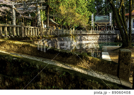 別府厳島神社 別府厳島神社 89060408
