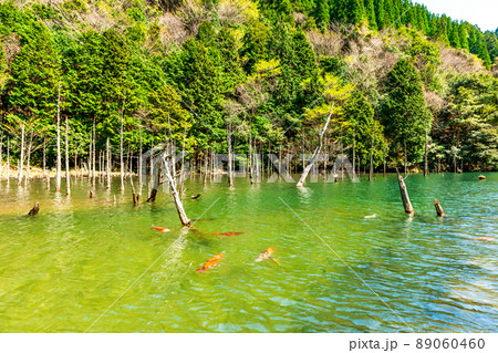 一の俣桜公園 一の俣桜公園 89060460