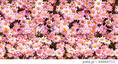 満開のピンクの花々 シームレスなパターン 満開のピンクの花々 シームレスなパターン 89060711