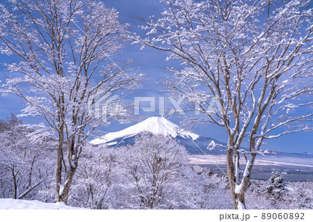 《山梨県》冬の富士山・積雪の二十曲峠 89060892