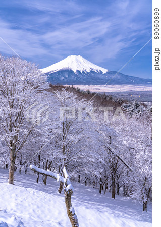 《山梨県》冬の富士山・積雪の二十曲峠 89060899