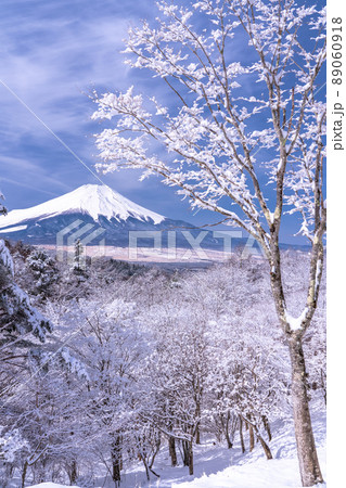 《山梨県》冬の富士山・積雪の二十曲峠 89060918