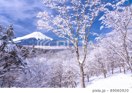 《山梨県》冬の富士山・積雪の二十曲峠 89060920