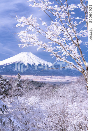 《山梨県》冬の富士山・積雪の二十曲峠 89060921