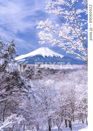 《山梨県》冬の富士山・積雪の二十曲峠 89060922