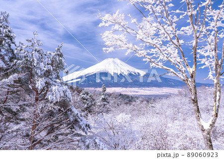 《山梨県》冬の富士山・積雪の二十曲峠 89060923