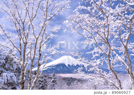 《山梨県》冬の富士山・積雪の二十曲峠 89060927
