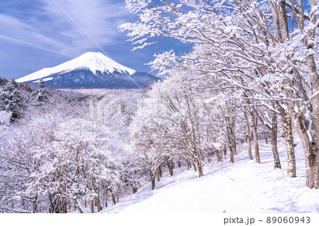 《山梨県》冬の富士山・積雪の二十曲峠 《山梨県》冬の富士山・積雪の二十曲峠 89060943