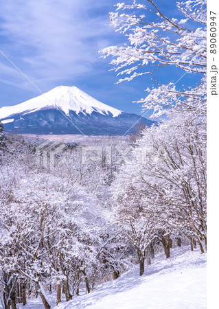 《山梨県》冬の富士山・積雪の二十曲峠 《山梨県》冬の富士山・積雪の二十曲峠 89060947