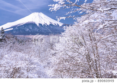 《山梨県》冬の富士山・積雪の二十曲峠 89060949