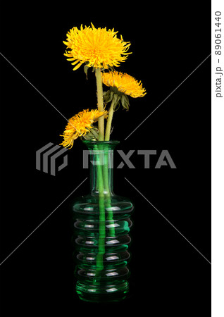 dandelion flowers in a vase on a black background 89061440
