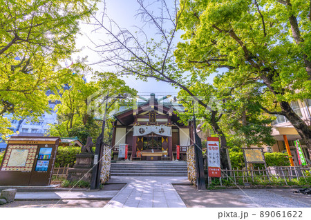 日本の川崎都市景観 新緑に包まれた川崎の稲毛神社(令和元年奉納・茶色) 日本の川崎都市景観 新緑に包まれた川崎の稲毛神社(令和元年奉納・茶色) 89061622