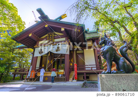 日本の川崎都市景観　新緑に包まれた川崎の稲毛神社（令和元年奉納・茶色） 89061710