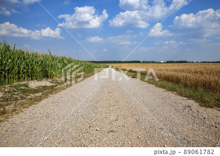 features on paved sandy road in rural area 89061782