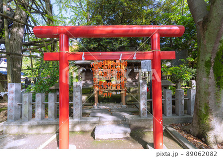 日本の川崎都市景観　新緑に包まれた川崎の稲毛神社境内にある堀田稲荷神社などを望む 89062082