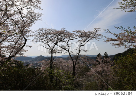 桜の風景 89062584