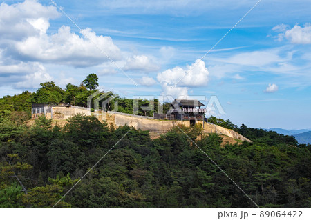 岡山県/ 桃太郎伝説が残る謎多き古代の城「鬼ノ城」（鬼ノ城跡） 89064422
