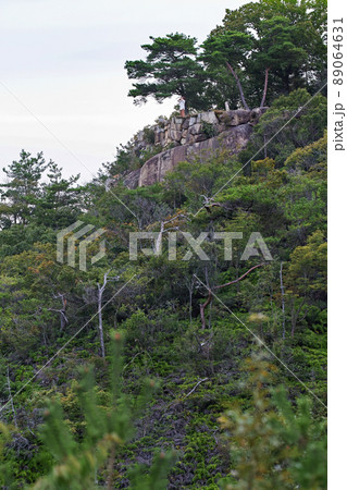 岡山県/ 桃太郎伝説が残る謎多き古代の城「鬼ノ城」（鬼ノ城跡）東門から見える石垣 89064631