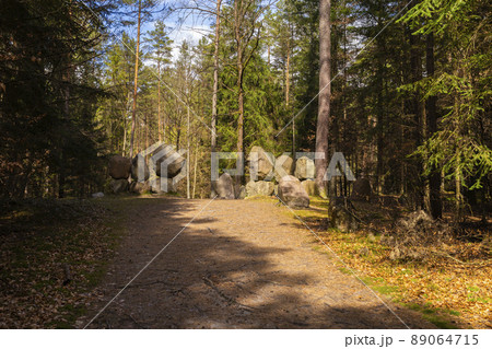 Path through Beech Mountain Reserve - in polish Bukowa Gora - in Zwierzyniec, Roztochia region in Poland. 89064715