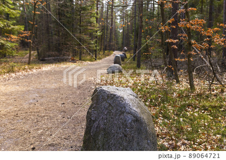 Path through Beech Mountain Reserve - in polish Bukowa Gora - in Zwierzyniec, Roztochia region in Poland. 89064721