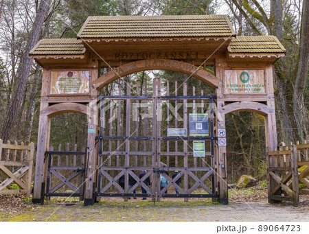 Path through Beech Mountain Reserve - in polish Bukowa Gora - in Zwierzyniec, Roztochia region in Poland. 89064723