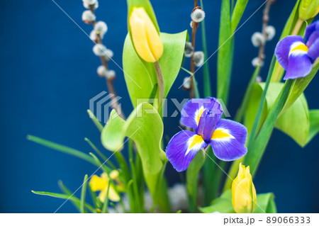 An elegant floral spring, Easter composition of irises, tulips, daffodils and willow twigs located on a table located against a blue wall in daylight. An elegant floral spring, Easter composition of irises, tulips, daffodils and willow twigs located on a table located against a blue wall in daylight. 89066333