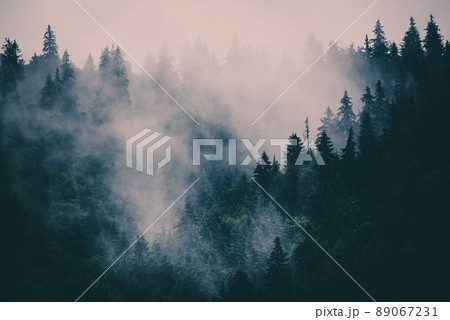 Misty mountain landscape 89067231