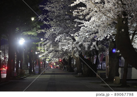 ライトアップされた駒街道の桜（青森県十和田市） 89067798