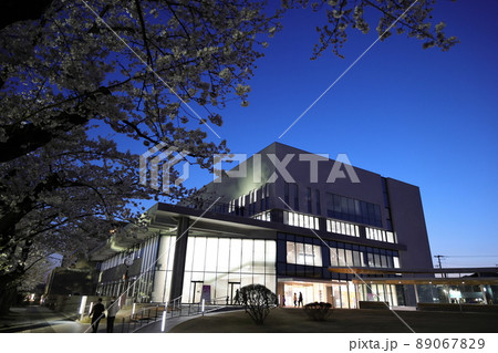 ライトアップされた十和田市官庁街の桜（青森県十和田市） 89067829