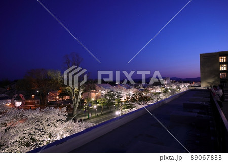 ライトアップされた官庁街の桜（青森県十和田市） 89067833