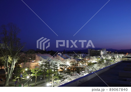 ライトアップされた十和田湖官庁街の桜（青森県十和田市） 89067840