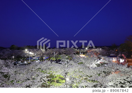 ライトアップされた十和田湖官庁街の桜(青森県十和田市) ライトアップされた十和田湖官庁街の桜(青森県十和田市) 89067842