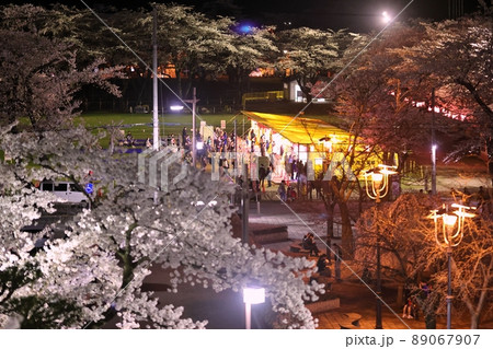 ライトアップした十和田湖官庁街の桜（青森県十和田市 89067907