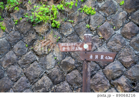 関東ふれあいの道 古河橋付近 初夏の風景 関東ふれあいの道 古河橋付近 初夏の風景 89068216