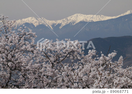 勝沼ぶどう郷駅から望む南アルプスと桜 89068771