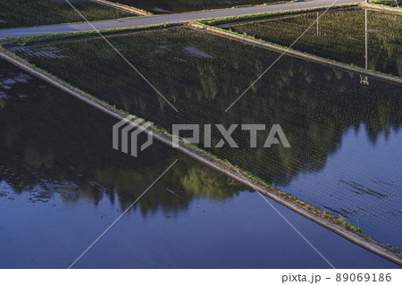 200514瓜巣夕景012 89069186