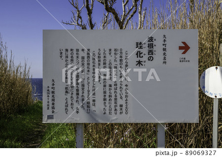波根西の珪化木 案内板 島根県大田市 波根西の珪化木 案内板 島根県大田市 89069327