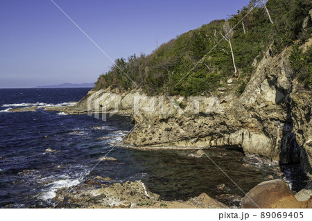 波根西の珪化木周辺の海岸　島根県大田市 89069405