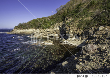 波根西の珪化木周辺の海岸　島根県大田市 89069407