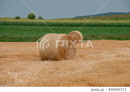 刈取が終わった後のムギ畑の麦ロール 89069725